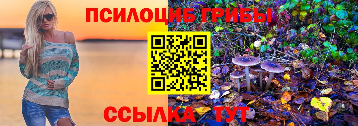 Псилоцибиновые грибы мицелий  Вход с VPN  Тихвин 